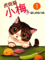虎斑貓小梅
