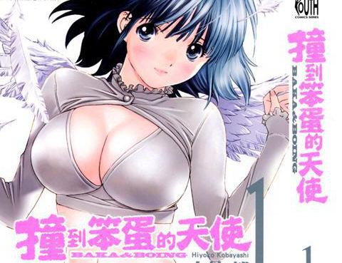 笨蛋和天使