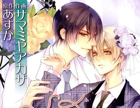 落跑新娘的調教法