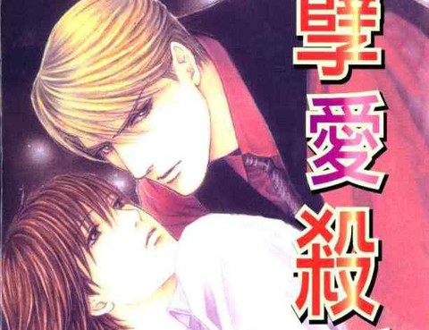 孽愛殺手