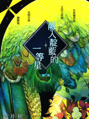 融入靛藍的一等星