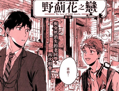 野薊花之戀